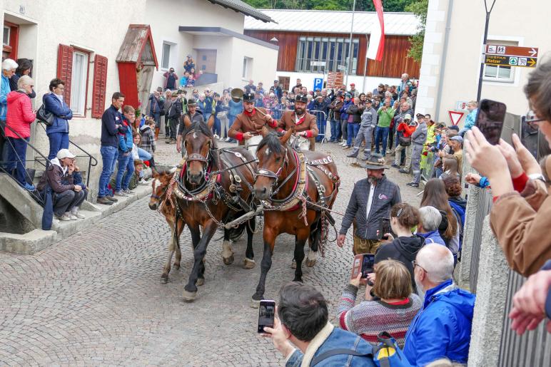 Haflinger-Umzug in Schluderns (01.06.2024); Fotos: Sepp