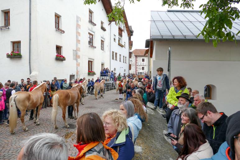 Haflinger-Umzug in Schluderns (01.06.2024); Fotos: Sepp