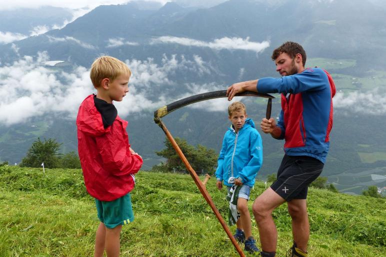 Landesentscheid im Handmähen am 28. Juli 2019 in Trumsberg in Kastelbell. Fotos: Sepp