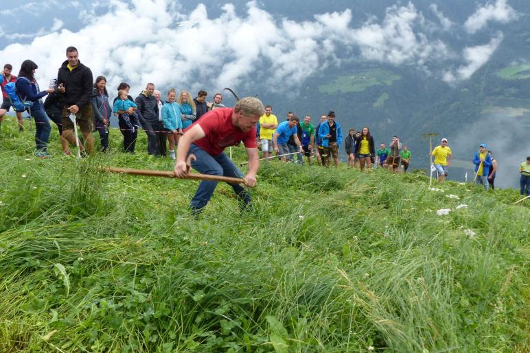 Landesentscheid im Handmähen am 28. Juli 2019 in Trumsberg in Kastelbell. Fotos: Sepp