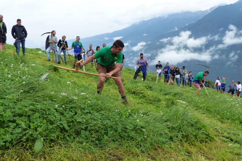 Landesentscheid im Handmähen am 28. Juli 2019 in Trumsberg in Kastelbell. Fotos: Sepp