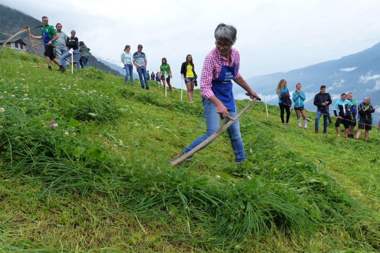 Landesentscheid im Handmähen am 28. Juli 2019 in Trumsberg in Kastelbell. Fotos: Sepp